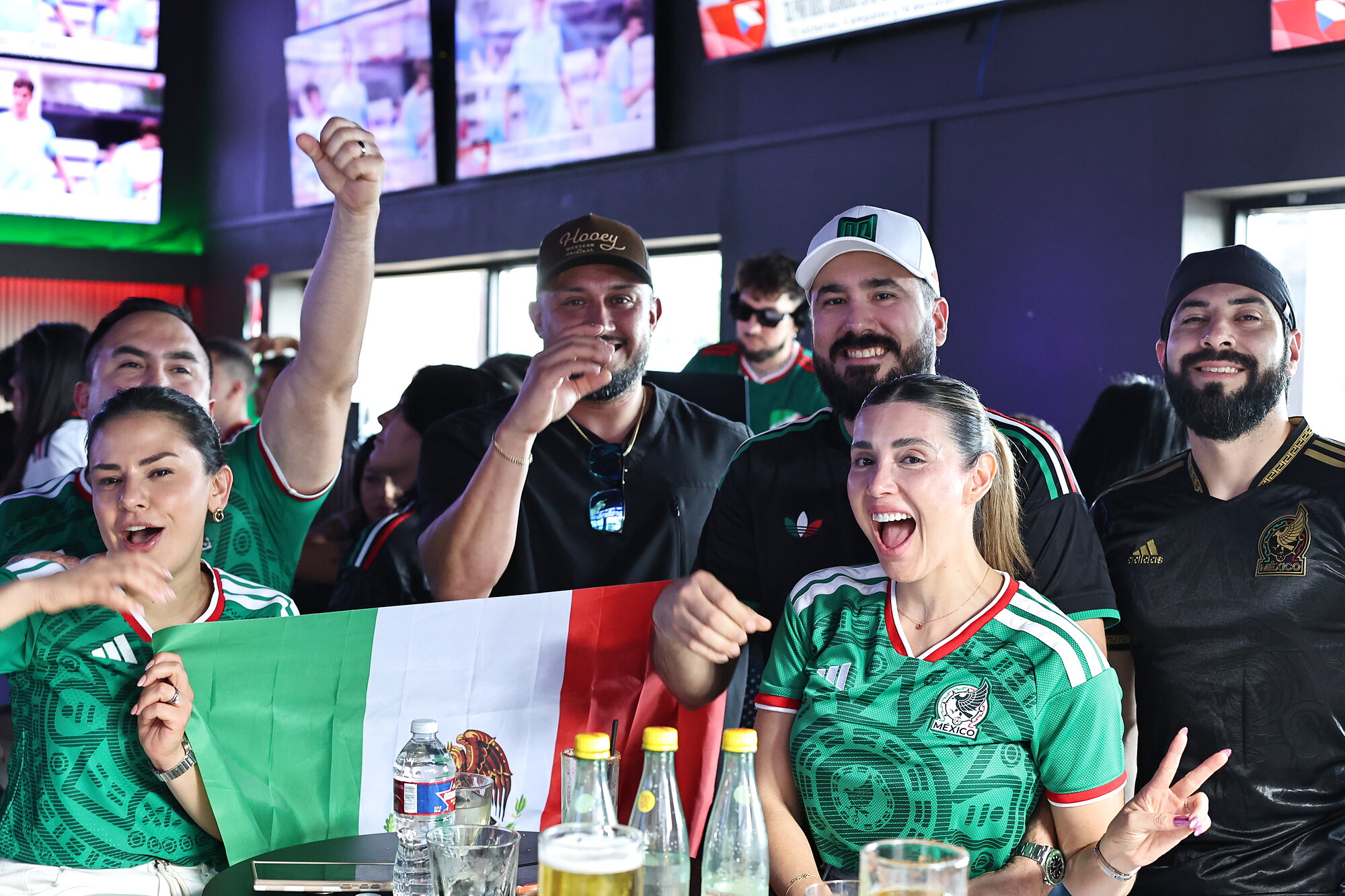 Fans celebrating at SKYBOX